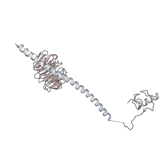 9524_5gm6_q_v1-2
Cryo-EM structure of the activated spliceosome (Bact complex) at 3.5 angstrom resolution
