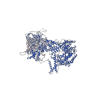 9525_5gmk_A_v1-5
Cryo-EM structure of the Catalytic Step I spliceosome (C complex) at 3.4 angstrom resolution