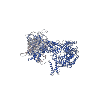 9525_5gmk_A_v2-0
Cryo-EM structure of the Catalytic Step I spliceosome (C complex) at 3.4 angstrom resolution