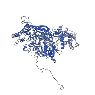 9525_5gmk_C_v1-5
Cryo-EM structure of the Catalytic Step I spliceosome (C complex) at 3.4 angstrom resolution