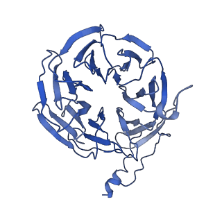 9525_5gmk_O_v2-0
Cryo-EM structure of the Catalytic Step I spliceosome (C complex) at 3.4 angstrom resolution