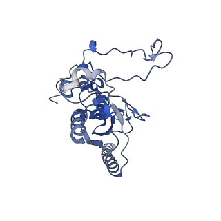 9525_5gmk_R_v1-5
Cryo-EM structure of the Catalytic Step I spliceosome (C complex) at 3.4 angstrom resolution