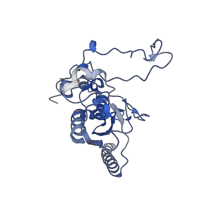 9525_5gmk_R_v2-0
Cryo-EM structure of the Catalytic Step I spliceosome (C complex) at 3.4 angstrom resolution