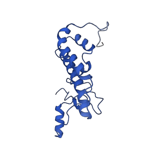 9525_5gmk_T_v1-5
Cryo-EM structure of the Catalytic Step I spliceosome (C complex) at 3.4 angstrom resolution