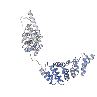 9525_5gmk_Z_v1-5
Cryo-EM structure of the Catalytic Step I spliceosome (C complex) at 3.4 angstrom resolution