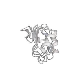 9525_5gmk_b_v2-0
Cryo-EM structure of the Catalytic Step I spliceosome (C complex) at 3.4 angstrom resolution