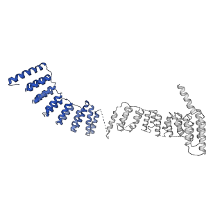9525_5gmk_d_v1-5
Cryo-EM structure of the Catalytic Step I spliceosome (C complex) at 3.4 angstrom resolution