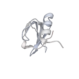 9525_5gmk_i_v2-0
Cryo-EM structure of the Catalytic Step I spliceosome (C complex) at 3.4 angstrom resolution