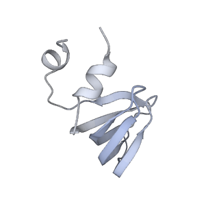 9525_5gmk_m_v2-0
Cryo-EM structure of the Catalytic Step I spliceosome (C complex) at 3.4 angstrom resolution