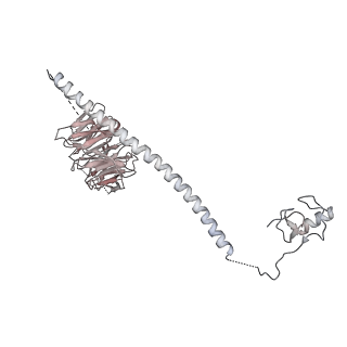 9525_5gmk_q_v1-5
Cryo-EM structure of the Catalytic Step I spliceosome (C complex) at 3.4 angstrom resolution