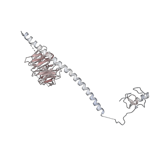 9525_5gmk_q_v2-0
Cryo-EM structure of the Catalytic Step I spliceosome (C complex) at 3.4 angstrom resolution