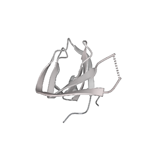 9525_5gmk_s_v2-0
Cryo-EM structure of the Catalytic Step I spliceosome (C complex) at 3.4 angstrom resolution