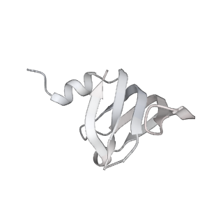 9525_5gmk_w_v1-5
Cryo-EM structure of the Catalytic Step I spliceosome (C complex) at 3.4 angstrom resolution