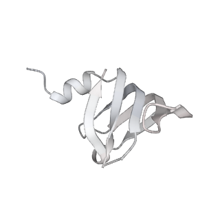 9525_5gmk_w_v2-0
Cryo-EM structure of the Catalytic Step I spliceosome (C complex) at 3.4 angstrom resolution