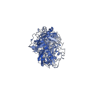 34158_8gna_A_v1-0
Structure of the SbCas7-11-crRNA-NTR complex