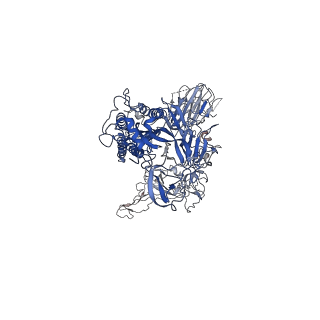 34164_8gnh_C_v1-0
Complex structure of BD-218 and Spike protein