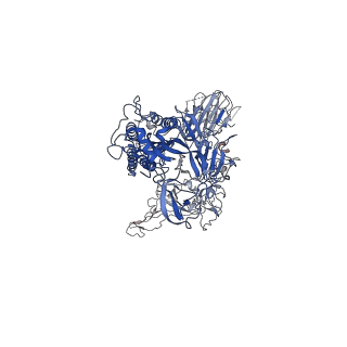 34164_8gnh_C_v1-1
Complex structure of BD-218 and Spike protein