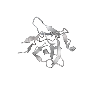 34164_8gnh_H_v1-0
Complex structure of BD-218 and Spike protein
