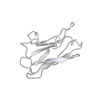 34164_8gnh_L_v1-0
Complex structure of BD-218 and Spike protein