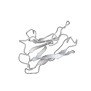 34164_8gnh_L_v1-1
Complex structure of BD-218 and Spike protein