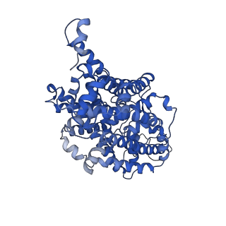 34167_8gnk_A_v2-0
CryoEM structure of cytosol-facing, substrate-bound ratGAT1