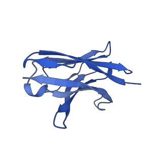 34167_8gnk_H_v1-3
CryoEM structure of cytosol-facing, substrate-bound ratGAT1
