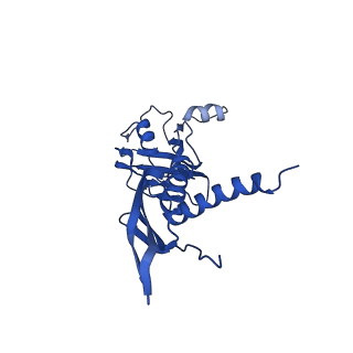 0043_6gov_U_v1-4
Structure of THE RNA POLYMERASE LAMBDA-BASED ANTITERMINATION COMPLEX