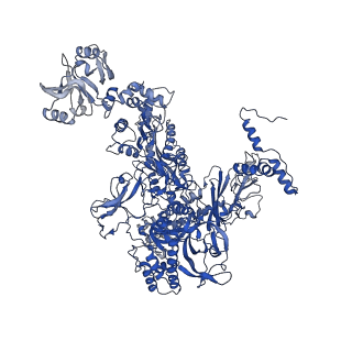 0043_6gov_X_v1-4
Structure of THE RNA POLYMERASE LAMBDA-BASED ANTITERMINATION COMPLEX