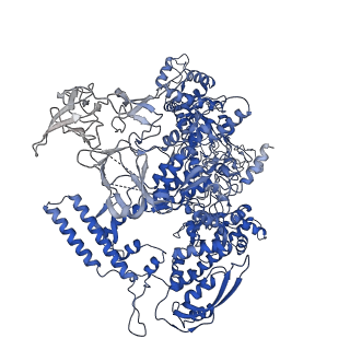 0043_6gov_Y_v1-4
Structure of THE RNA POLYMERASE LAMBDA-BASED ANTITERMINATION COMPLEX