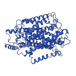 34171_8go3_A_v1-0
Cryo-EM structure of Escherichia coli cytochrome bo3 in DDM detergent