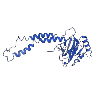 34171_8go3_B_v1-0
Cryo-EM structure of Escherichia coli cytochrome bo3 in DDM detergent