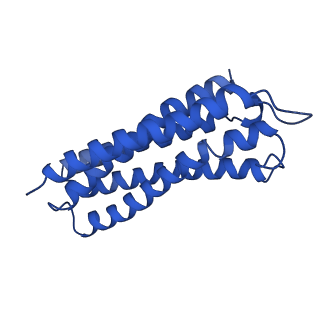 34171_8go3_C_v1-0
Cryo-EM structure of Escherichia coli cytochrome bo3 in DDM detergent