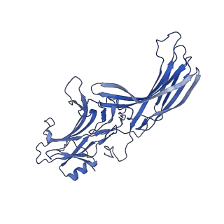 34173_8go8_B_v1-0
Structure of beta-arrestin1 in complex with a phosphopeptide corresponding to the human C5a anaphylatoxin chemotactic receptor 1, C5aR1
