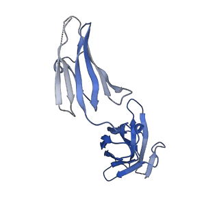34173_8go8_H_v1-0
Structure of beta-arrestin1 in complex with a phosphopeptide corresponding to the human C5a anaphylatoxin chemotactic receptor 1, C5aR1
