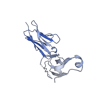 34173_8go8_M_v1-0
Structure of beta-arrestin1 in complex with a phosphopeptide corresponding to the human C5a anaphylatoxin chemotactic receptor 1, C5aR1