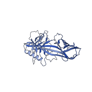 34174_8go9_A_v1-1
Structure of beta-arrestin2 in complex with a phosphopeptide corresponding to the human Atypical chemokine receptor 2, ACKR2 (D6R)