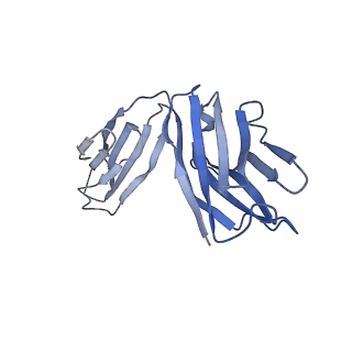 34174_8go9_B_v1-1
Structure of beta-arrestin2 in complex with a phosphopeptide corresponding to the human Atypical chemokine receptor 2, ACKR2 (D6R)