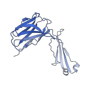 34174_8go9_E_v1-1
Structure of beta-arrestin2 in complex with a phosphopeptide corresponding to the human Atypical chemokine receptor 2, ACKR2 (D6R)