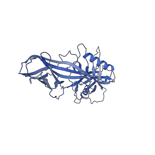 34174_8go9_F_v1-1
Structure of beta-arrestin2 in complex with a phosphopeptide corresponding to the human Atypical chemokine receptor 2, ACKR2 (D6R)