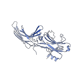34175_8goc_B_v1-0
Structure of beta-arrestin2 in complex with a phosphopeptide corresponding to the human Vasopressin V2 receptor, V2R