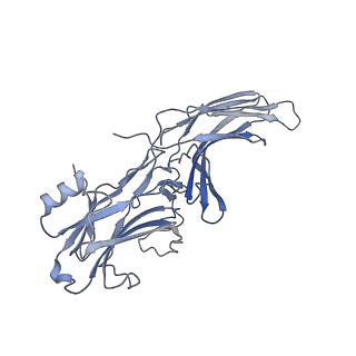 34175_8goc_C_v1-0
Structure of beta-arrestin2 in complex with a phosphopeptide corresponding to the human Vasopressin V2 receptor, V2R