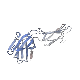 34175_8goc_D_v1-0
Structure of beta-arrestin2 in complex with a phosphopeptide corresponding to the human Vasopressin V2 receptor, V2R