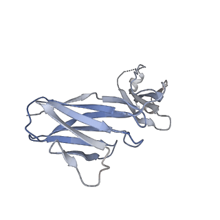 34175_8goc_E_v1-0
Structure of beta-arrestin2 in complex with a phosphopeptide corresponding to the human Vasopressin V2 receptor, V2R