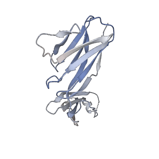 34175_8goc_L_v1-0
Structure of beta-arrestin2 in complex with a phosphopeptide corresponding to the human Vasopressin V2 receptor, V2R