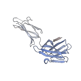34175_8goc_M_v1-0
Structure of beta-arrestin2 in complex with a phosphopeptide corresponding to the human Vasopressin V2 receptor, V2R