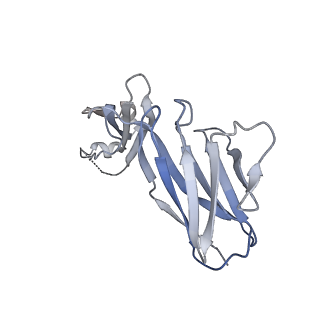 34175_8goc_N_v1-0
Structure of beta-arrestin2 in complex with a phosphopeptide corresponding to the human Vasopressin V2 receptor, V2R