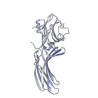 34178_8goo_B_v1-0
Structure of beta-arrestin2 in complex with a phosphopeptide corresponding to the human C5a anaphylatoxin chemotactic receptor 1, C5aR1