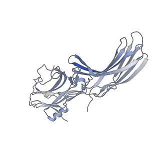 34178_8goo_C_v1-0
Structure of beta-arrestin2 in complex with a phosphopeptide corresponding to the human C5a anaphylatoxin chemotactic receptor 1, C5aR1