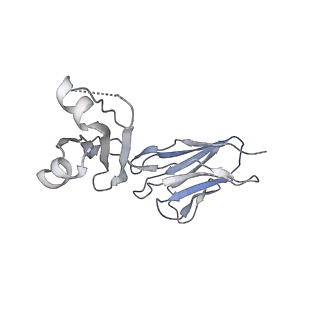 34178_8goo_L_v1-0
Structure of beta-arrestin2 in complex with a phosphopeptide corresponding to the human C5a anaphylatoxin chemotactic receptor 1, C5aR1