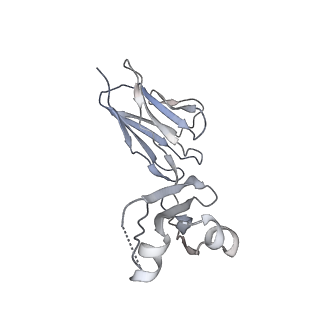 34178_8goo_N_v1-0
Structure of beta-arrestin2 in complex with a phosphopeptide corresponding to the human C5a anaphylatoxin chemotactic receptor 1, C5aR1